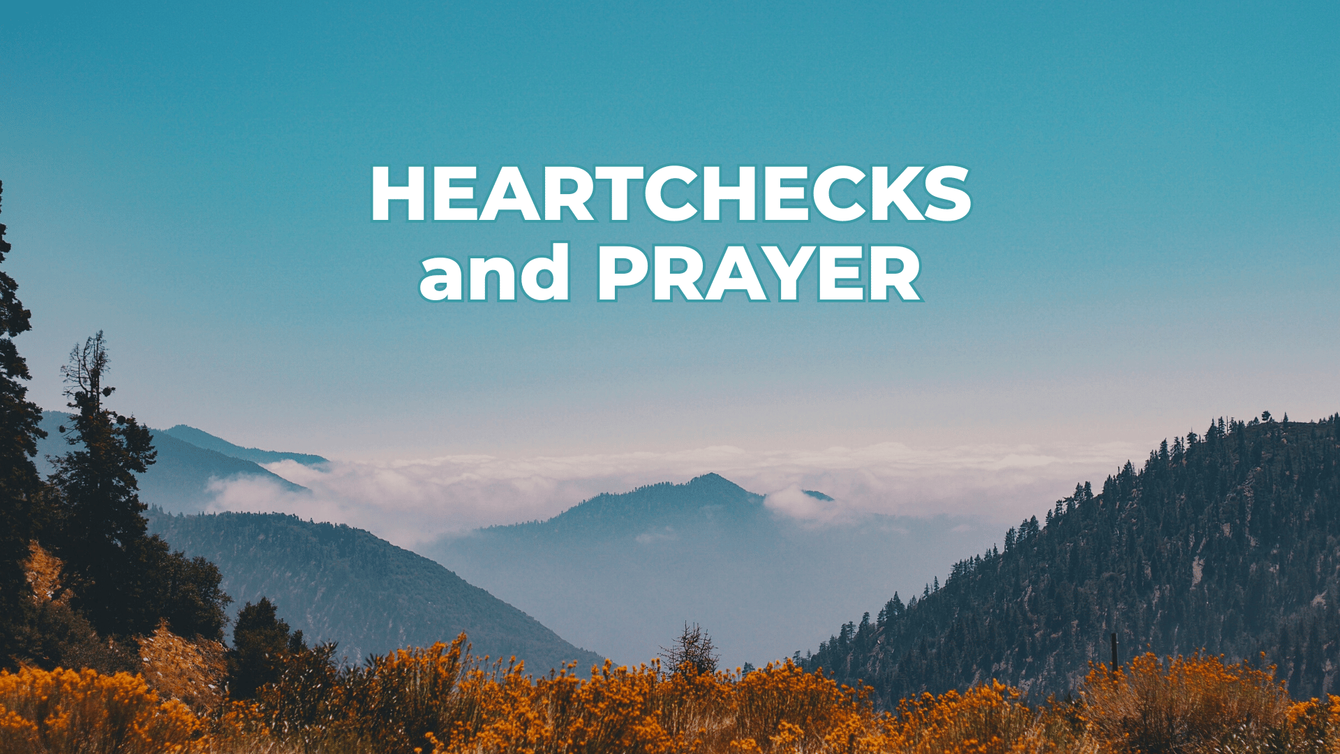 A Time for Heartchecks and Prayerful Holding